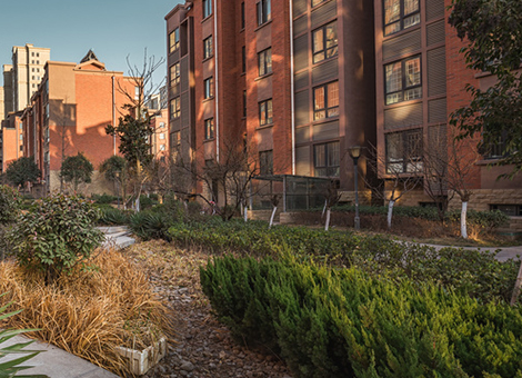 社区有害生物防治