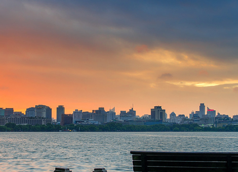 景区环境有害生物防治