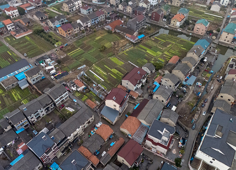 集镇有害生物防治