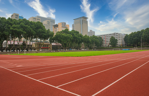 学校有害生物综合防治 —— 守护未成年人健康成长的校园防线
